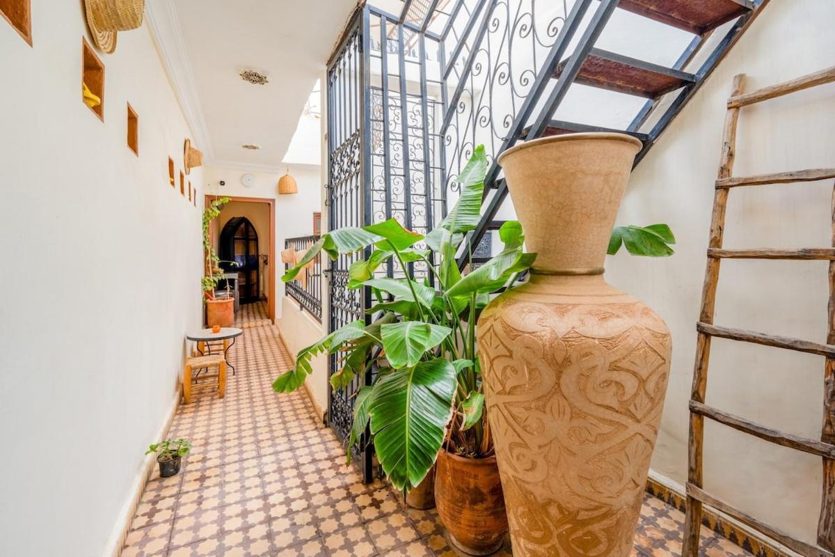 3 - Petit Dejeuner Gratuit - Position Vakantiehuis